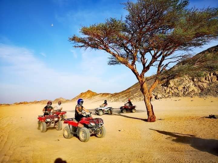 صورة 1