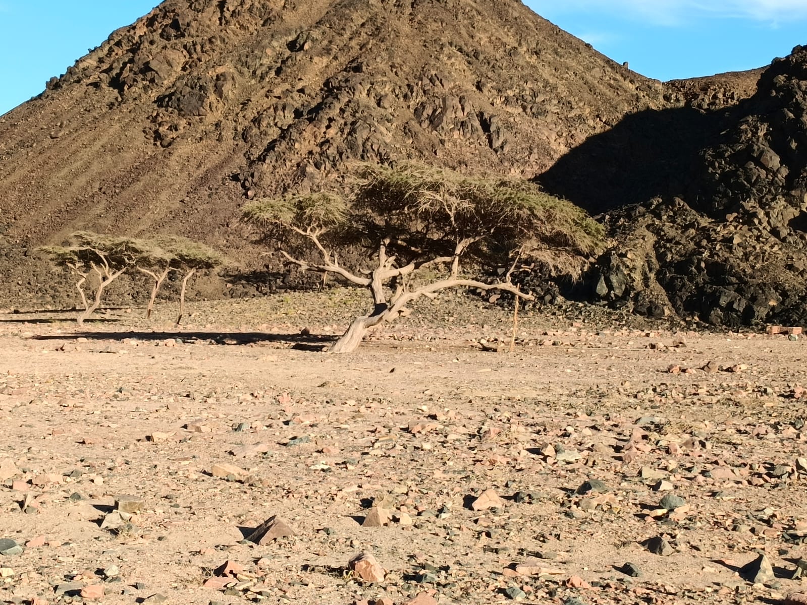 صورة 1