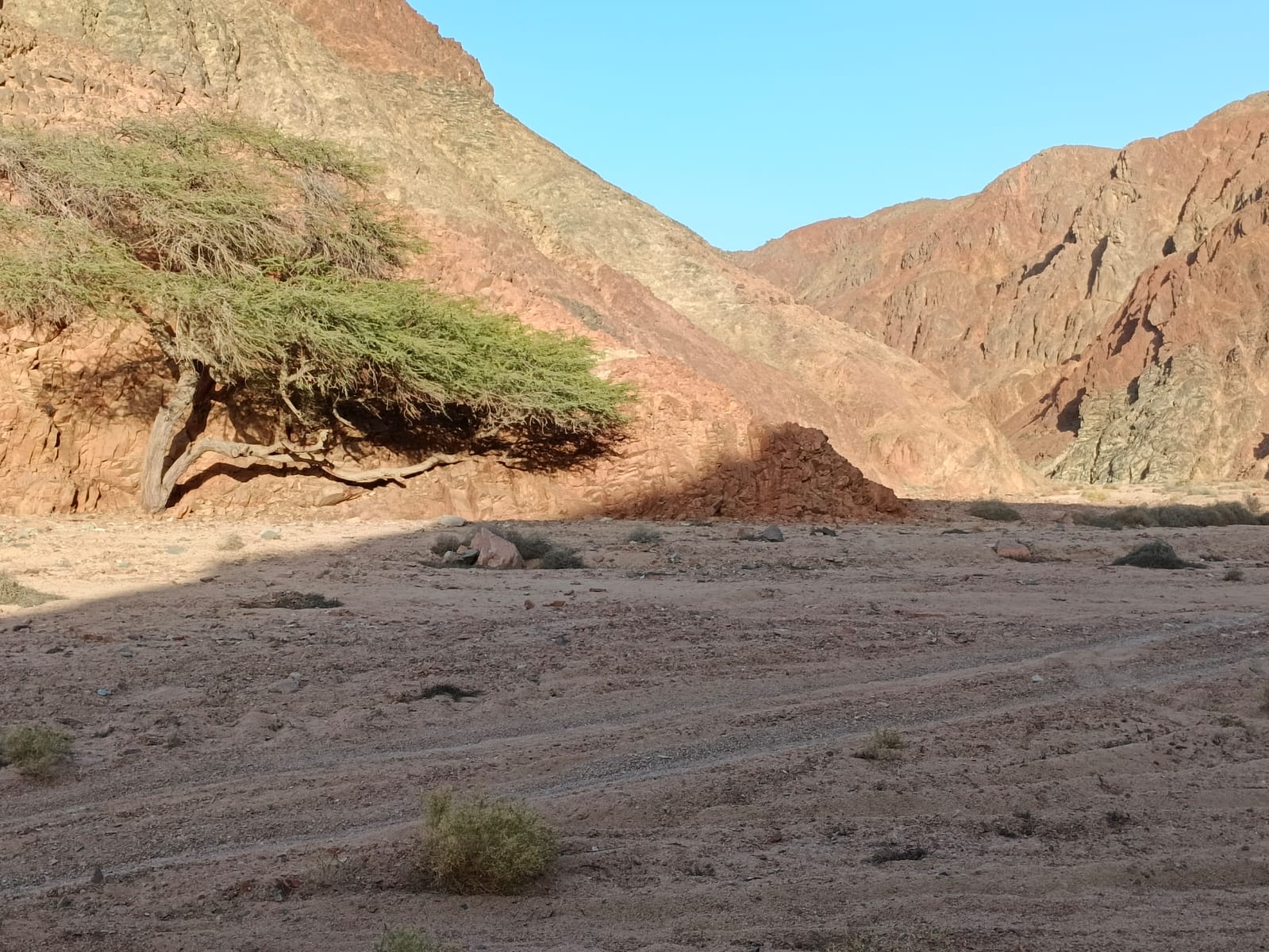 صورة 1