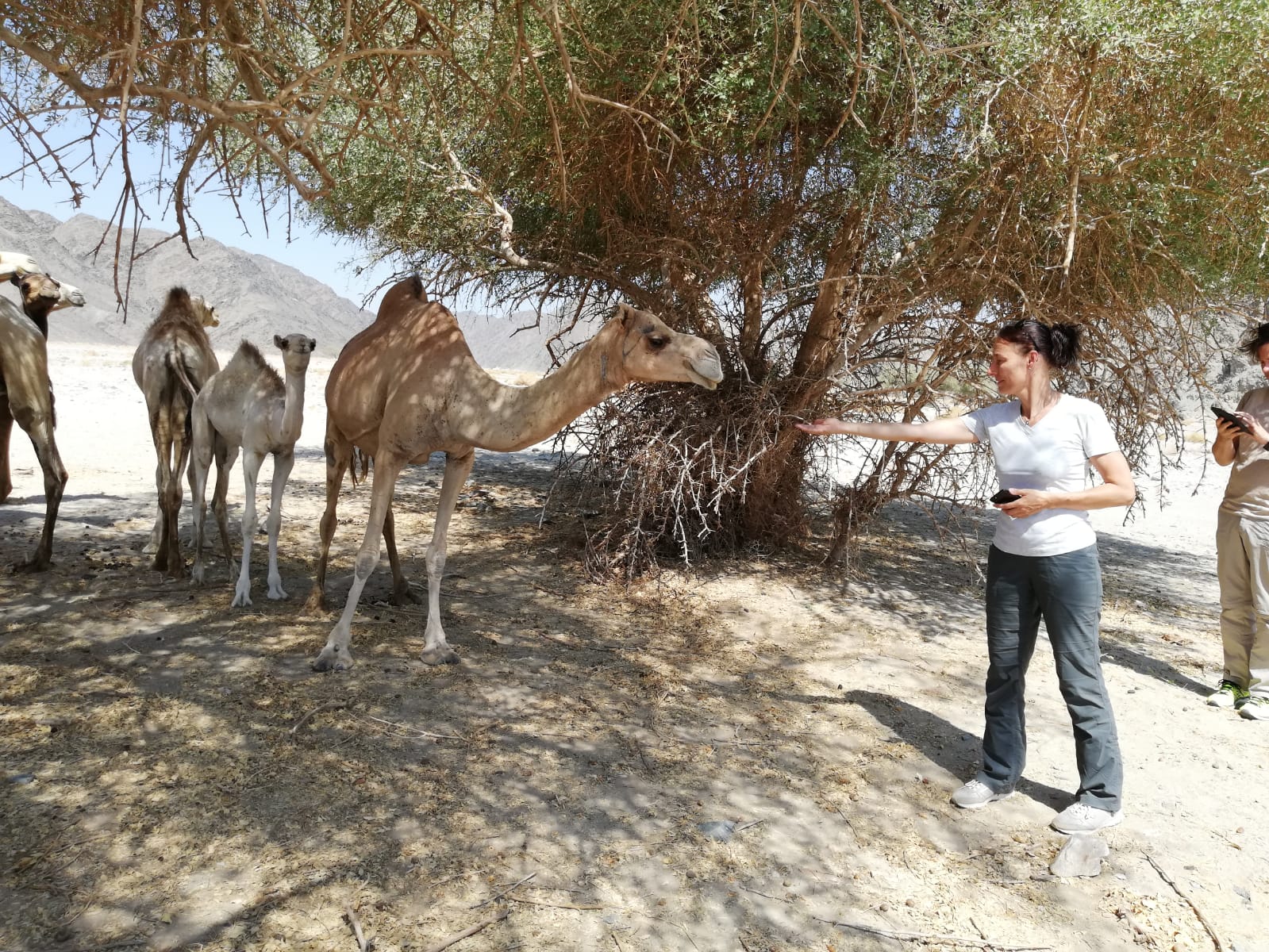 صورة 1