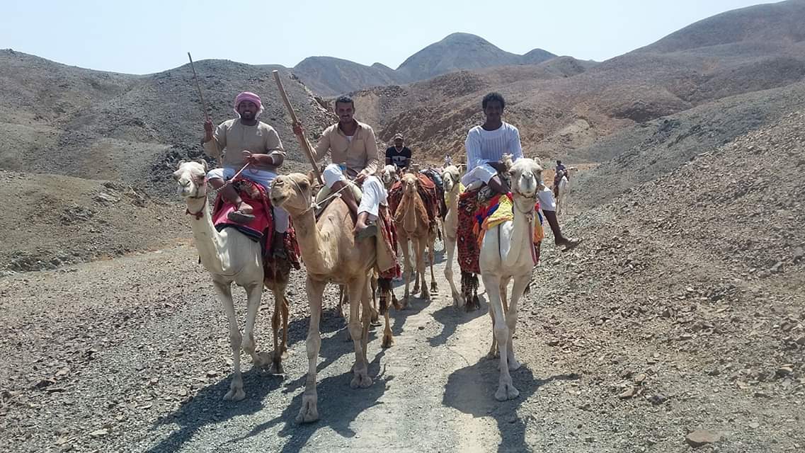 صورة 1